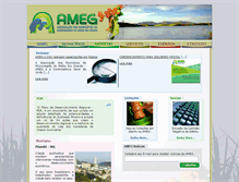 Tablet Screenshot of ameg.org.br